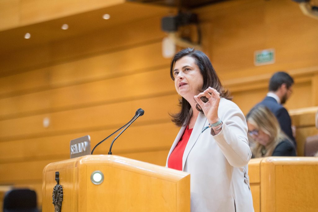 El PP exige la dimisión inmediata de Ángel Víctor Torres y le acusa de mentir reiteradamente sobre la trama Koldo